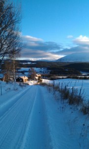 Vakkert som et julekort