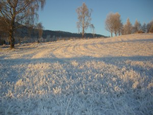 Snøen mangler, de par cm som har kommet, kan ikke brukes til noe - men gjør det i alle fall lyst og vakkert