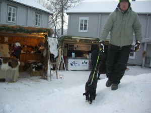 Utrolig spennende å være på julemarked for en lite, tremåneder gammel valp! Ale og alle må snuses og hilses på.