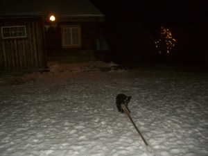 Litt kronglete å få tak på denne kosten, altså!