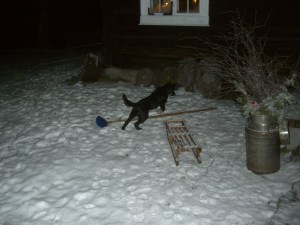 Gandhi har det også travelt til jul. Særlig er han opptatt av å koste...