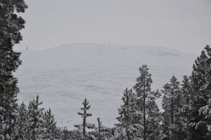 Nesten uansett hvor vi befinner oss i området, ser vi glimt av Tronfjell. Her fra Fosåsen
