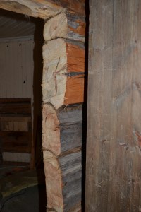 Her kan man telle årringer!