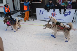 Vanskelig å vente på å få lov til å sette avgårde