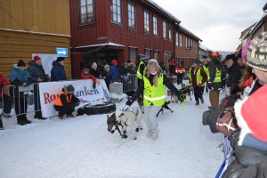 Crewet følger hundene inn til startområdet - etterpå må kjøreren greie alt selv