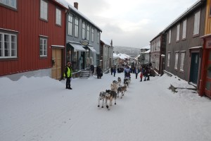 Oppover Kjerkgata bærer det