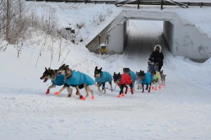 Løypa går også under veier 