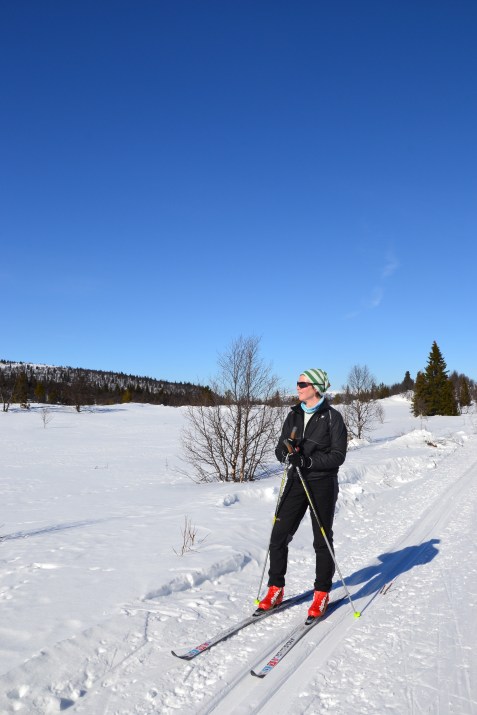 Nyter sol og utsikt ved Eliavangen i Aumdalen