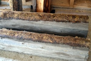 Tømmerstokkene som var under vinduet ble fjernet. Se den flattrykte mosen som ligger på stokkene og som ble brukt som isolasjon.