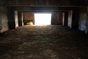 Møkkakjelleren er rensket for gammel skit - forresten veldig fin gjødsel for blomster og bær! Nå skal veggene spyles og males hvite før dyra kommer!