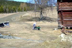 Mange tunge trillbårlass - teller som styrketrening!
