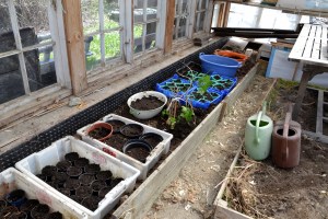 -det har blitt orden i huset!