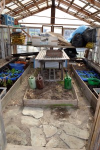 Alt er på plass - da gjelder det bare å huske å vanne! 