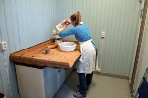 - bakstekjerringa, den unge, er i full gang allerede!