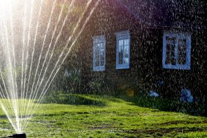 Plenen er sådd og grønnes ved hjelp av vannsprederen