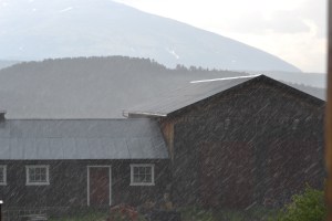 - men også noen skikkelige byger som vannet åker og eng