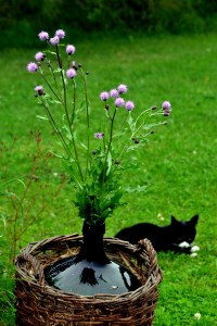 Gudelk har også blitt stor, men trives best sammen med oss