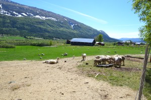 Trivelig besøk på Jonsmoen
