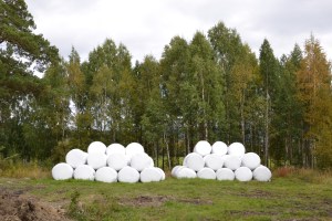 Den første rundballeladningen har vært klar en stund. Nå står andreslåtten for tur