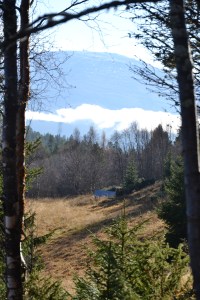 Mellom trærne får vi stadig øye på fjellene fra litt andre retninger enn vi er vant til. 