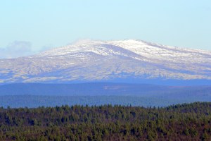 Snødekte topper i det fjerne mot nord. Jeg vet ikke hva fjellet heter, kan det være Nonsvola i Tolga kommune, 1089 moh? 