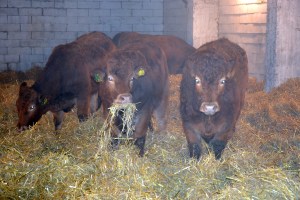 Lurer fælt på hvem disse menneskene er