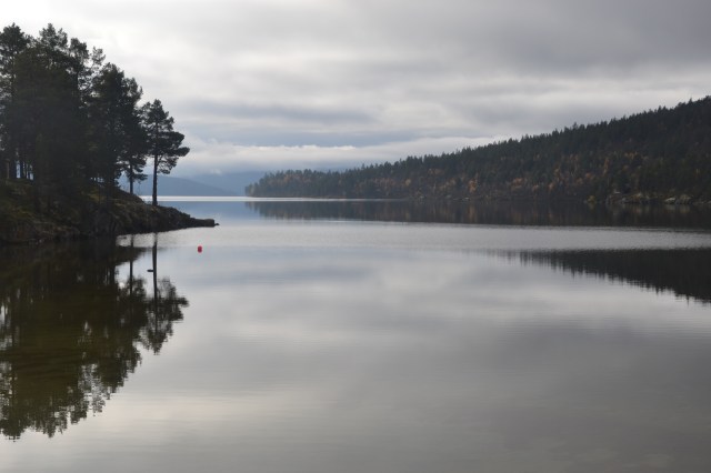 Vakre Savalen er stedet på Tynset som nå snart huser 180 flyktninger.